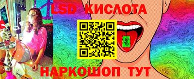 стаф Будённовск