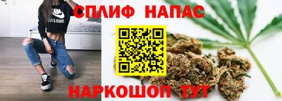 стаф Будённовск