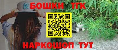 стаф Будённовск