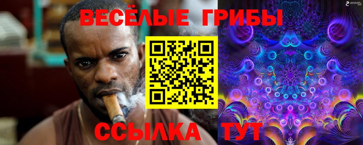 Галлюциногенные грибы мицелий  Галлюциногенные грибы GOLDEN TEACHER  Вход с VPN  Тайшет 